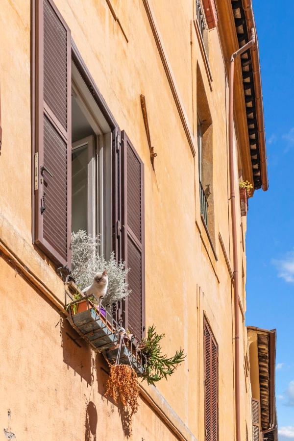 로마 R.C. Cappellari Charming Campo De Fiori 아파트 외부 사진